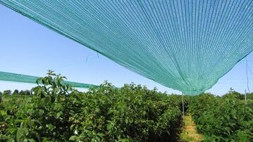 Greenhouse Shade Netting Stock Photos and Pictures - 356 Images | Shutterstock